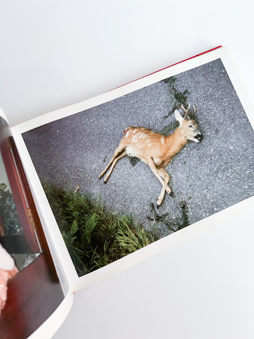 Unseen UK A Book of Photographs by the People at Royal Mail / Stephen Gill