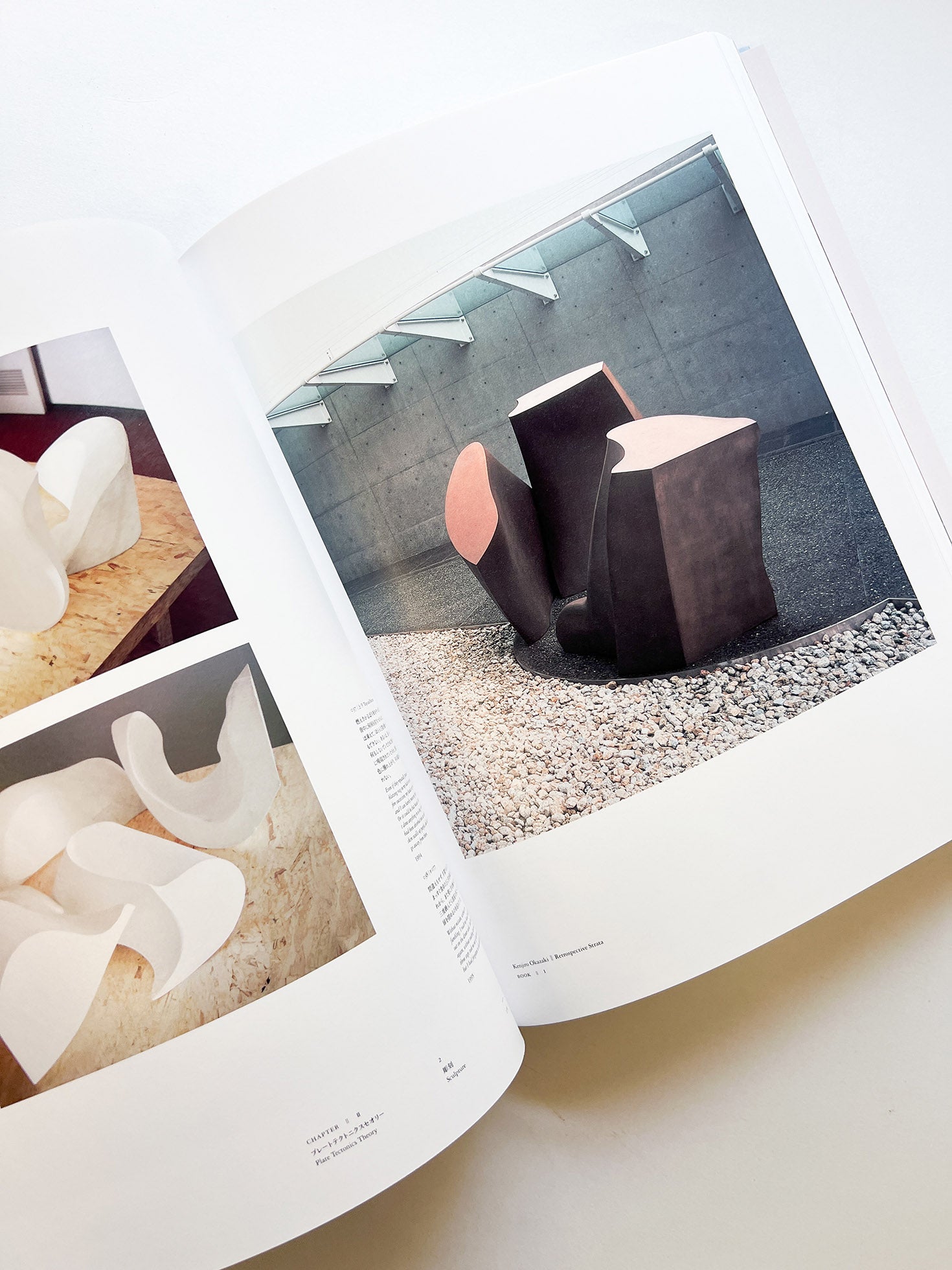 岡﨑乾二郎　視覚のカイソウ [SIGNED]