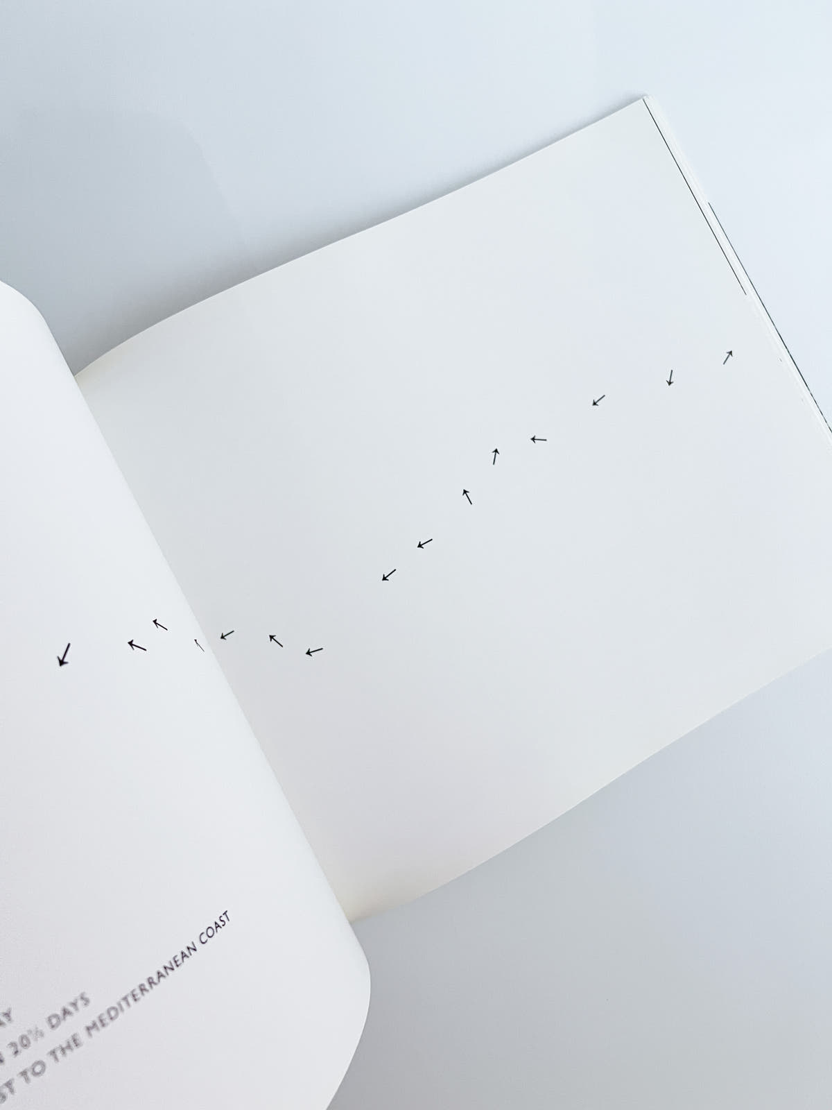 Walking in Circles / Richard Long