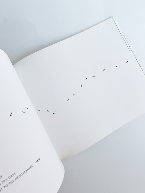 Walking in Circles / Richard Long