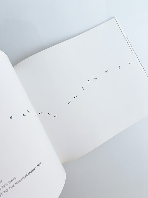 Walking in Circles / Richard Long