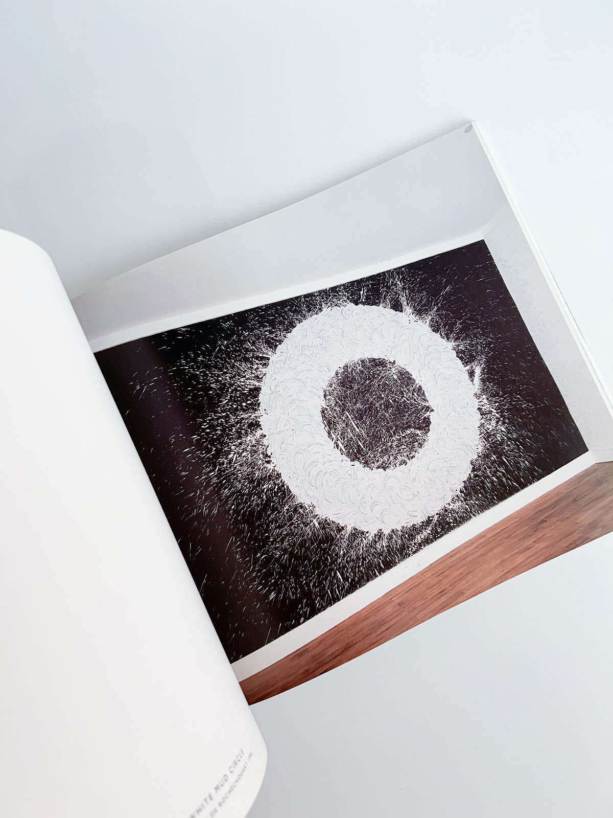 Walking in Circles / Richard Long