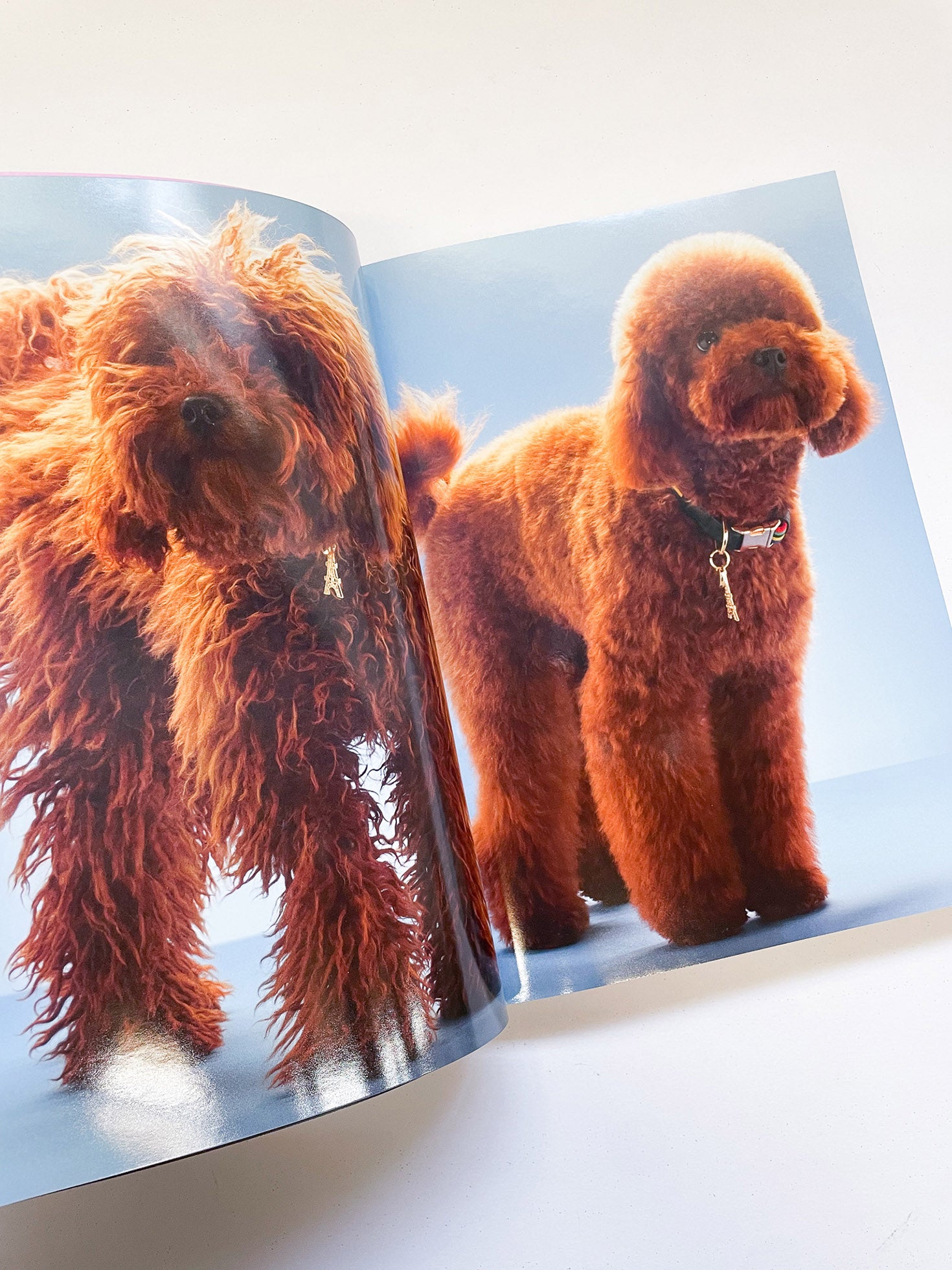 Tools #04 – To Cut