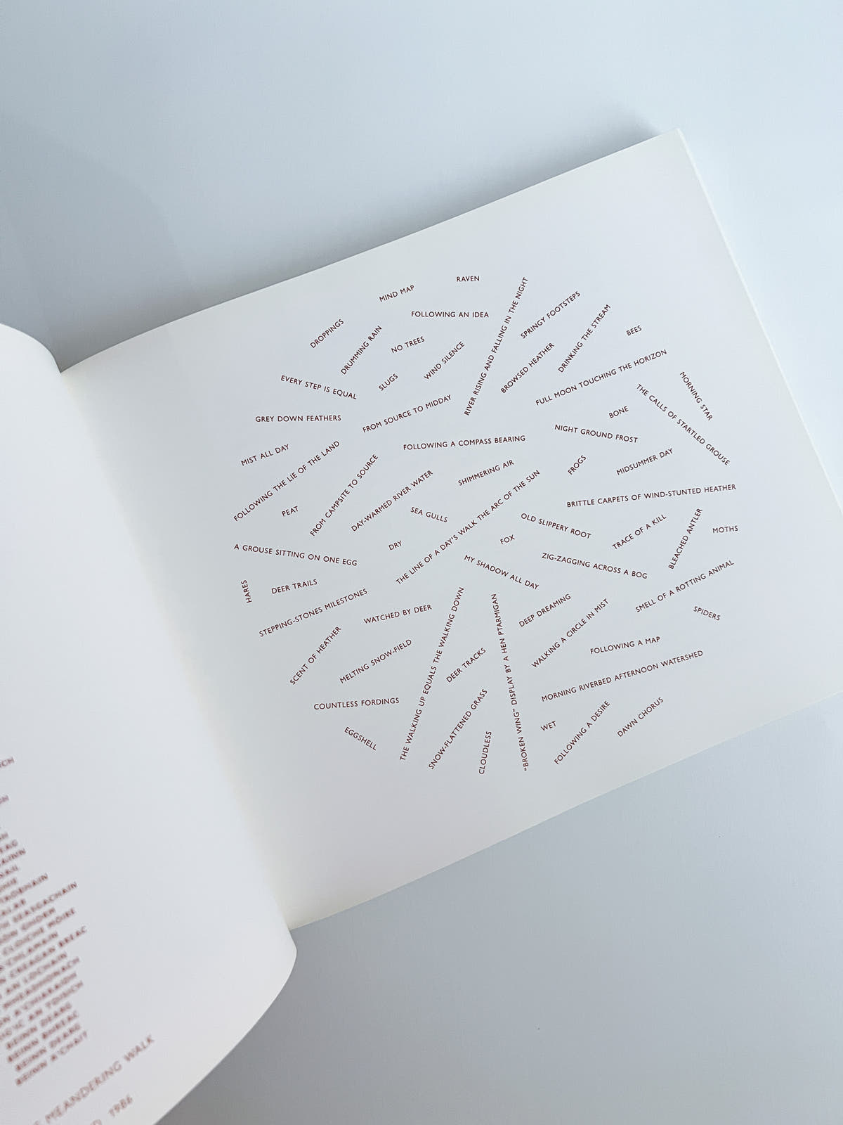 Walking in Circles / Richard Long