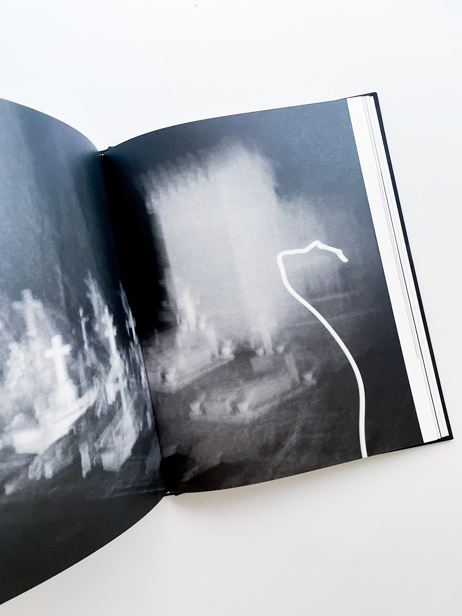 TENDER IS THE NIGHT / Sakiko Nomura