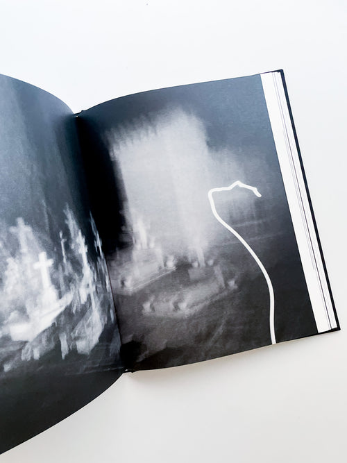 TENDER IS THE NIGHT / Sakiko Nomura