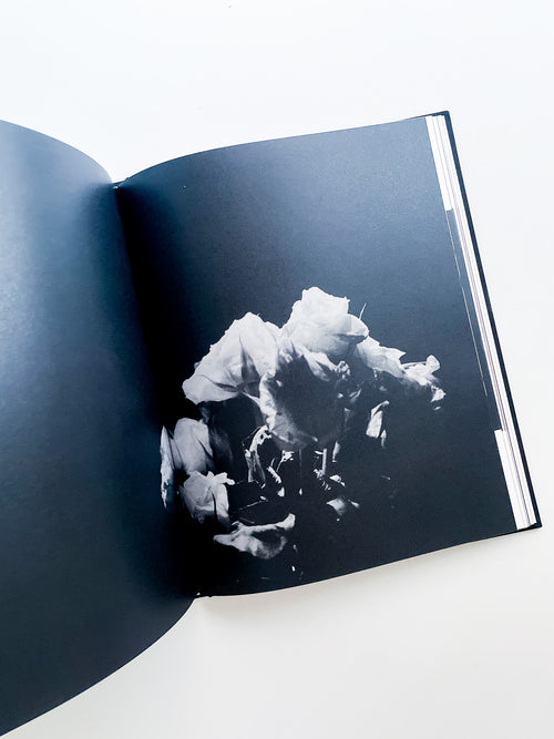 TENDER IS THE NIGHT / Sakiko Nomura