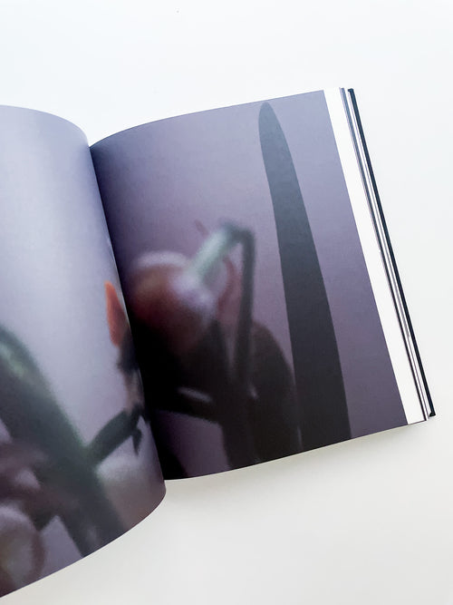 TENDER IS THE NIGHT / Sakiko Nomura