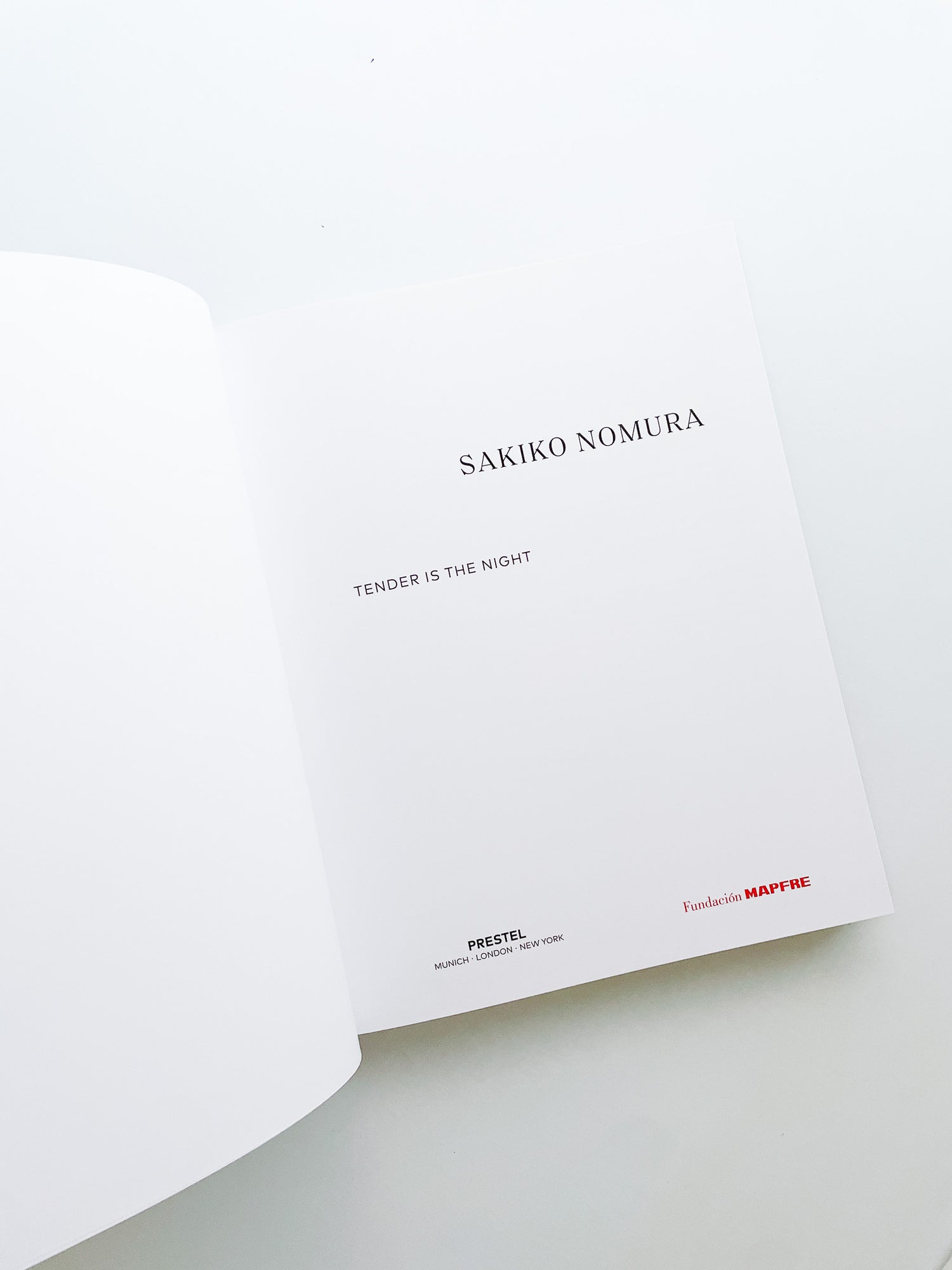 TENDER IS THE NIGHT / Sakiko Nomura