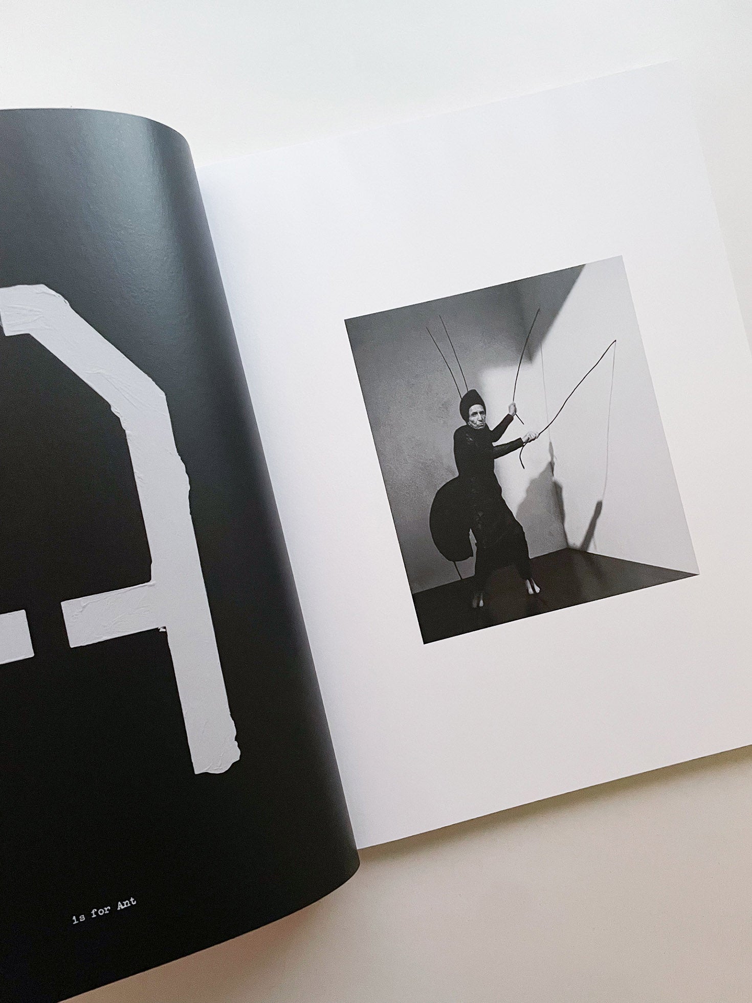 A is for Ant / Jack Davison