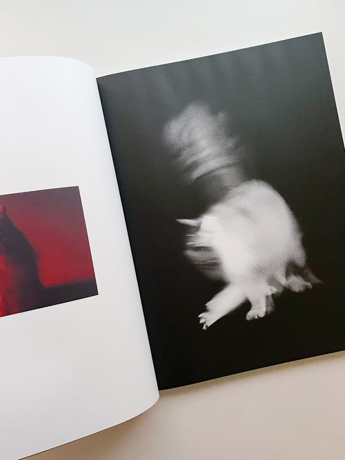 A is for Ant / Jack Davison