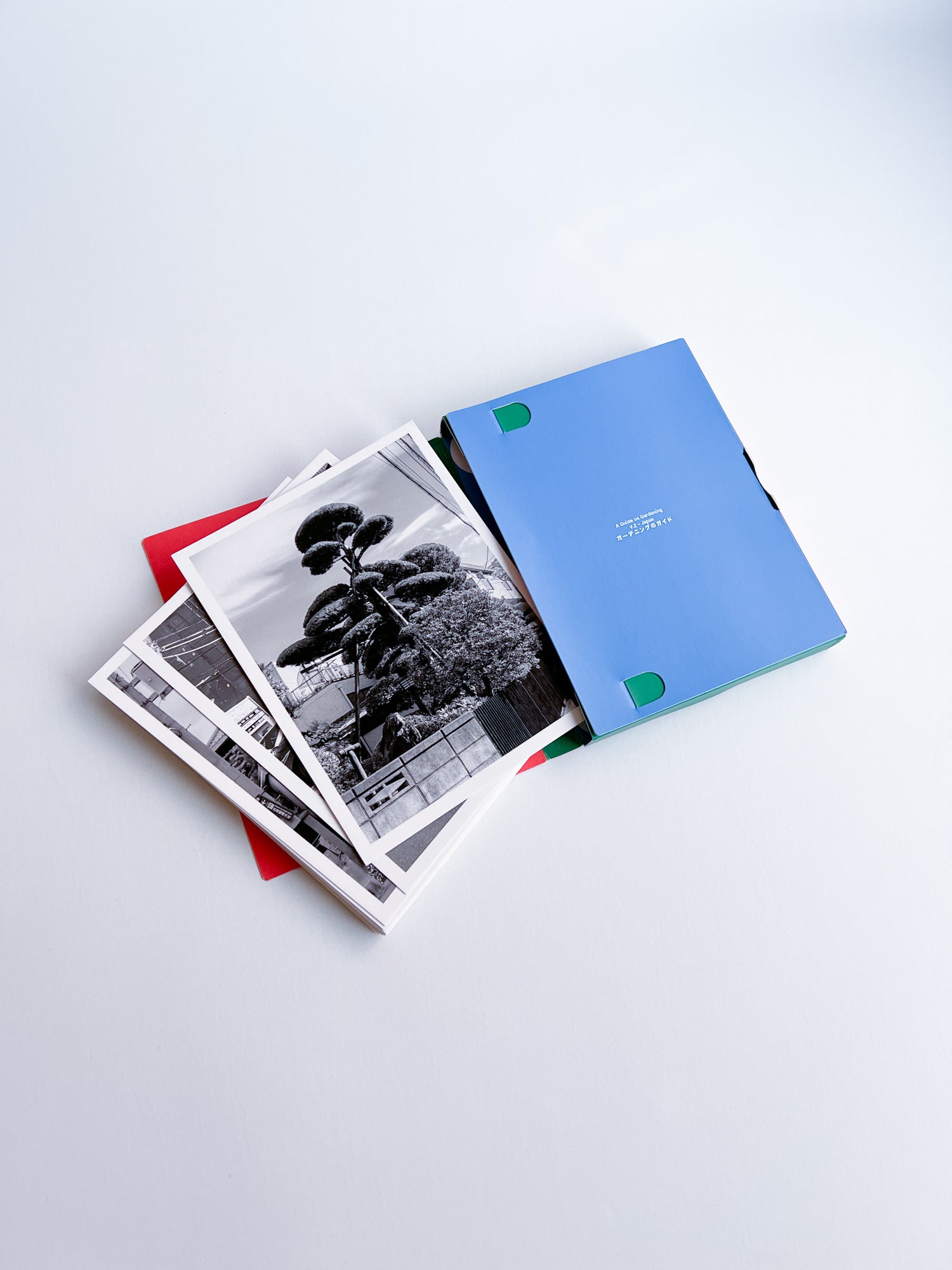 A Guide to Gardening II / Rubén Montesinos