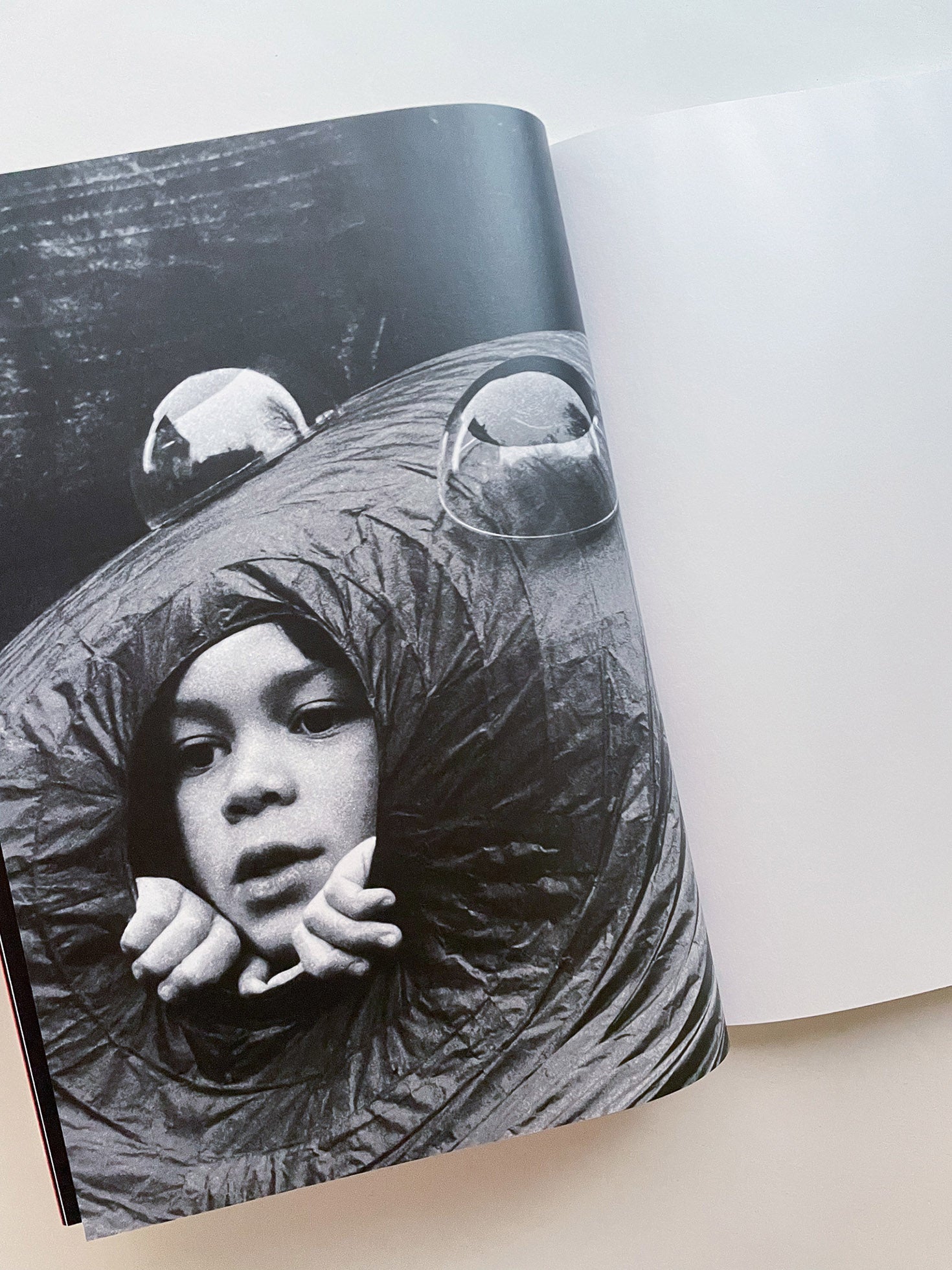 A is for Ant / Jack Davison - 本屋青旗 Ao-Hata Bookstore