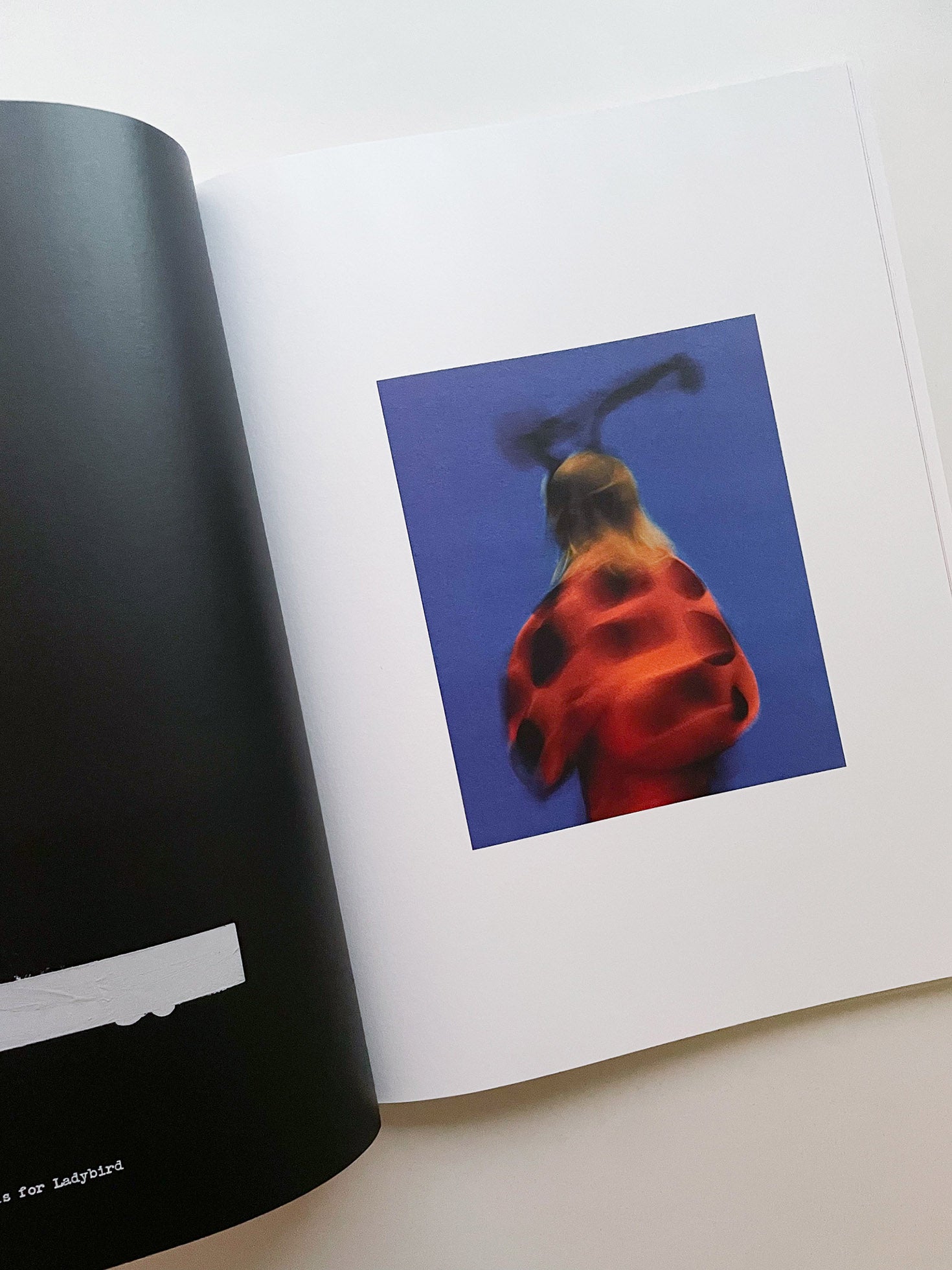 A is for Ant / Jack Davison