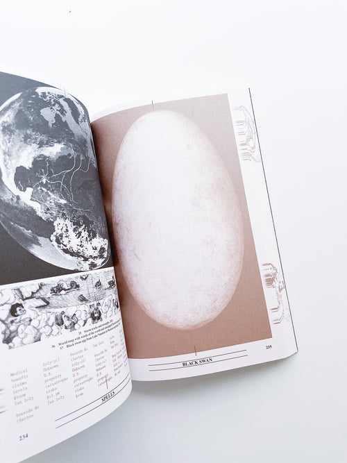 Collapsed Mythologies A Geofinancial Atlas / Eline Benjaminsen, Dayna Casey [SECOND EDITION]
