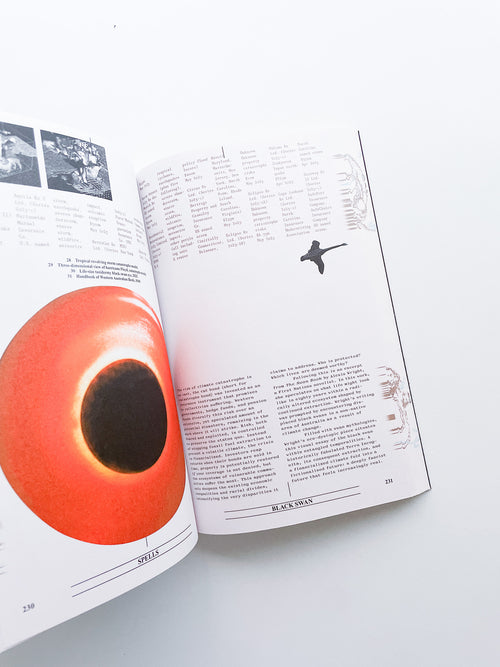 Collapsed Mythologies A Geofinancial Atlas / Eline Benjaminsen, Dayna Casey [SECOND EDITION]