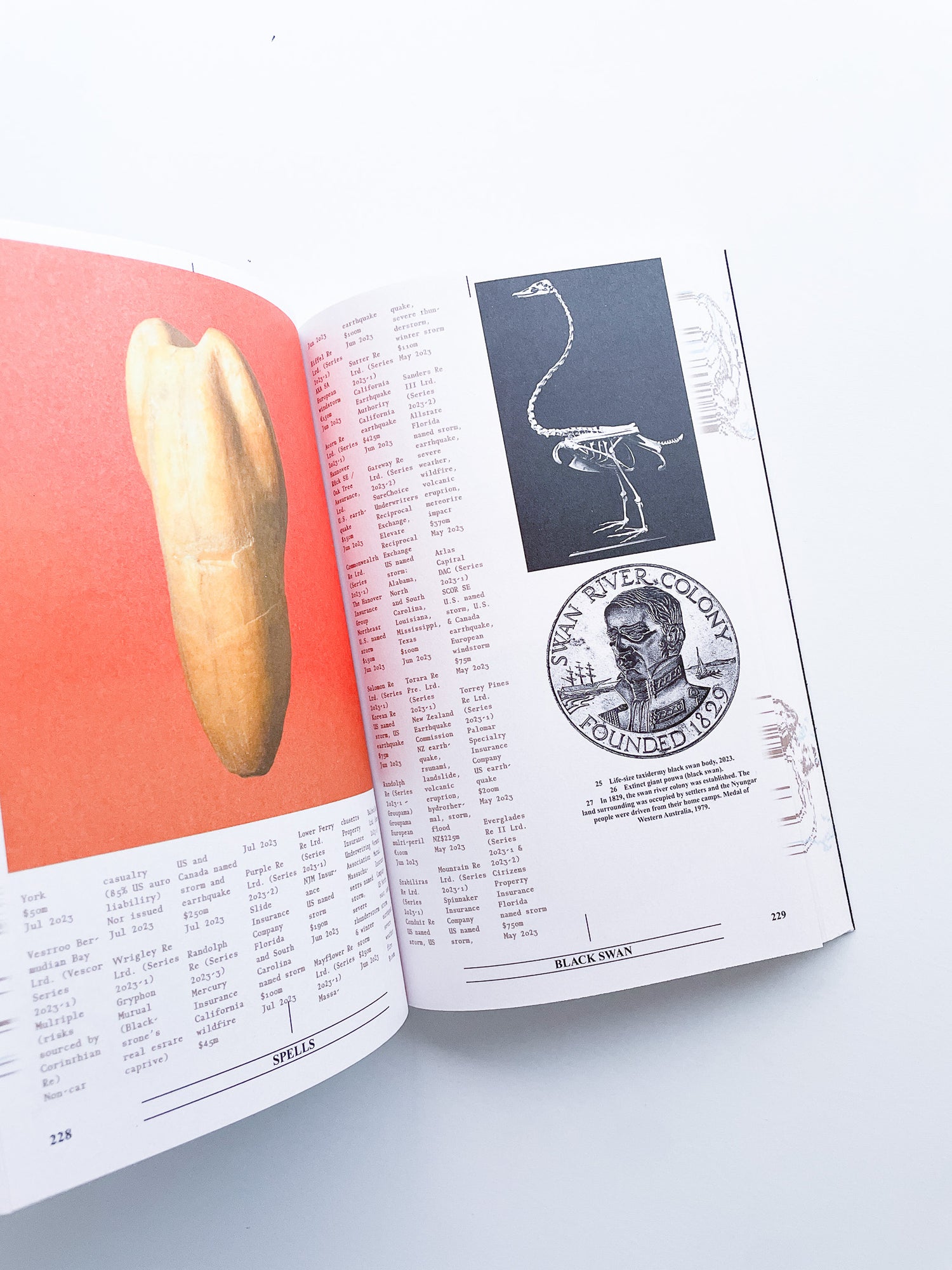 Collapsed Mythologies A Geofinancial Atlas / Eline Benjaminsen, Dayna Casey [SECOND EDITION]