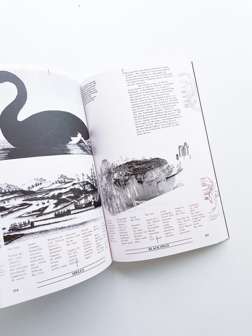 Collapsed Mythologies A Geofinancial Atlas / Eline Benjaminsen, Dayna Casey [SECOND EDITION]