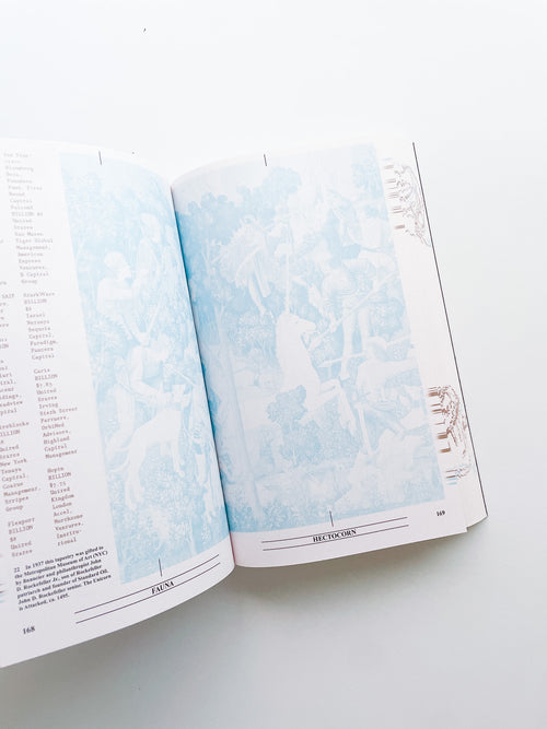 Collapsed Mythologies A Geofinancial Atlas / Eline Benjaminsen, Dayna Casey [SECOND EDITION]