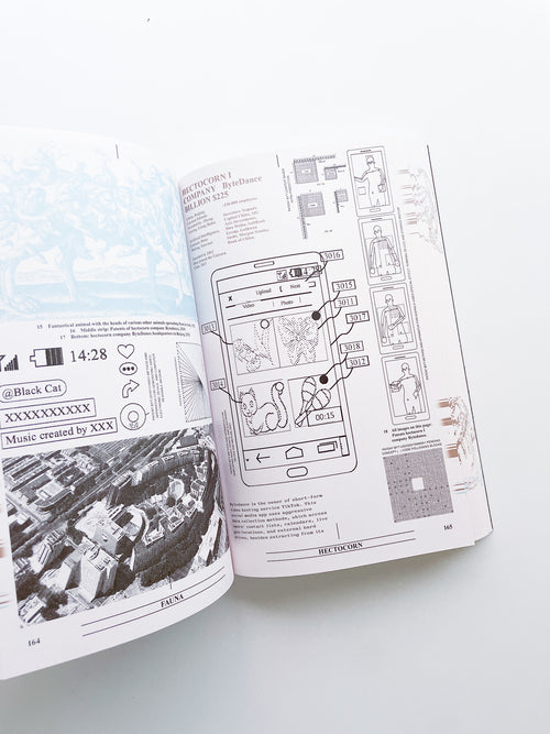 Collapsed Mythologies A Geofinancial Atlas / Eline Benjaminsen, Dayna Casey [SECOND EDITION]