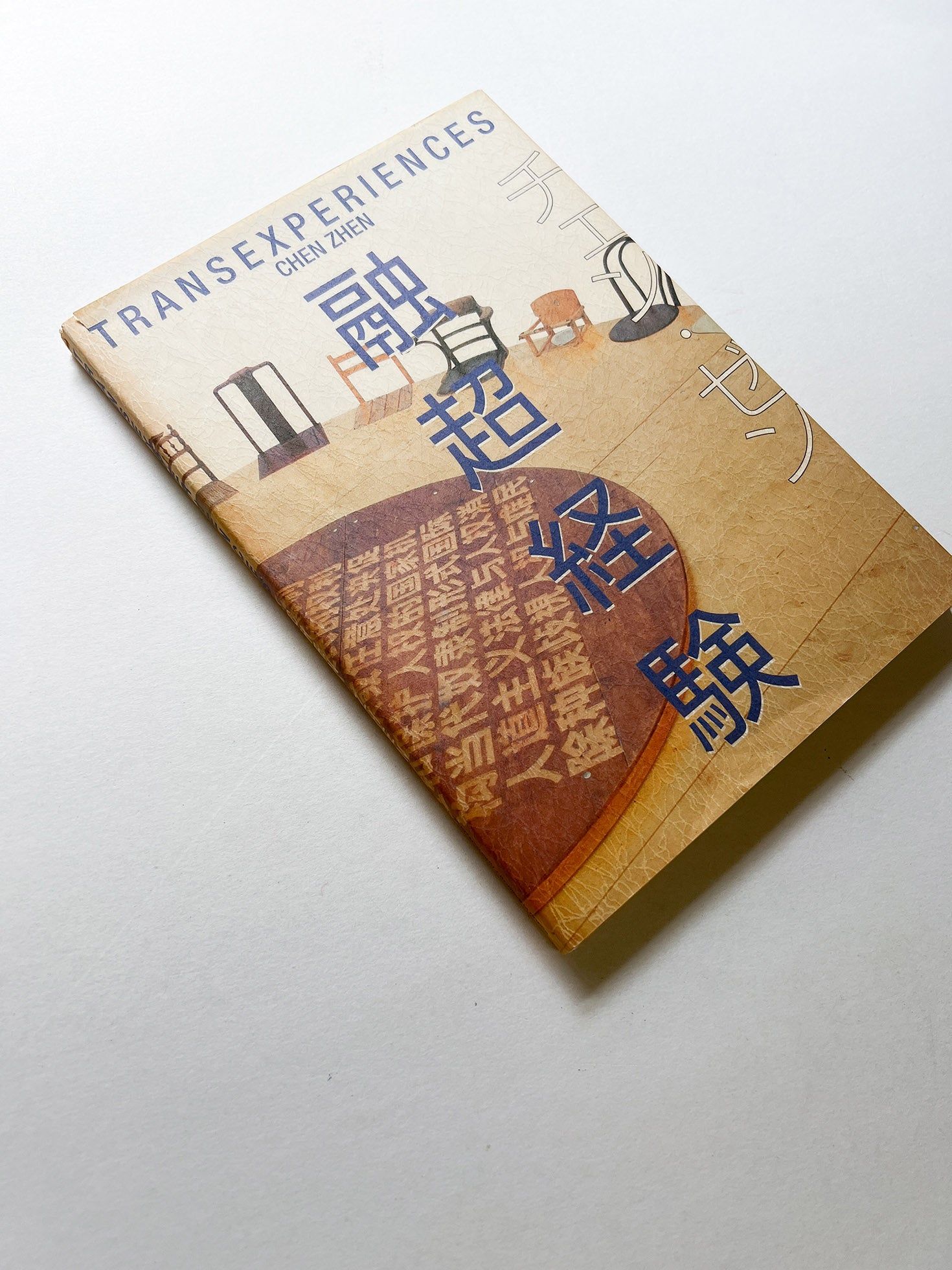 TRANSEXPERIENCES / CHEN ZHEN