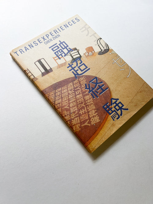 TRANSEXPERIENCES / CHEN ZHEN