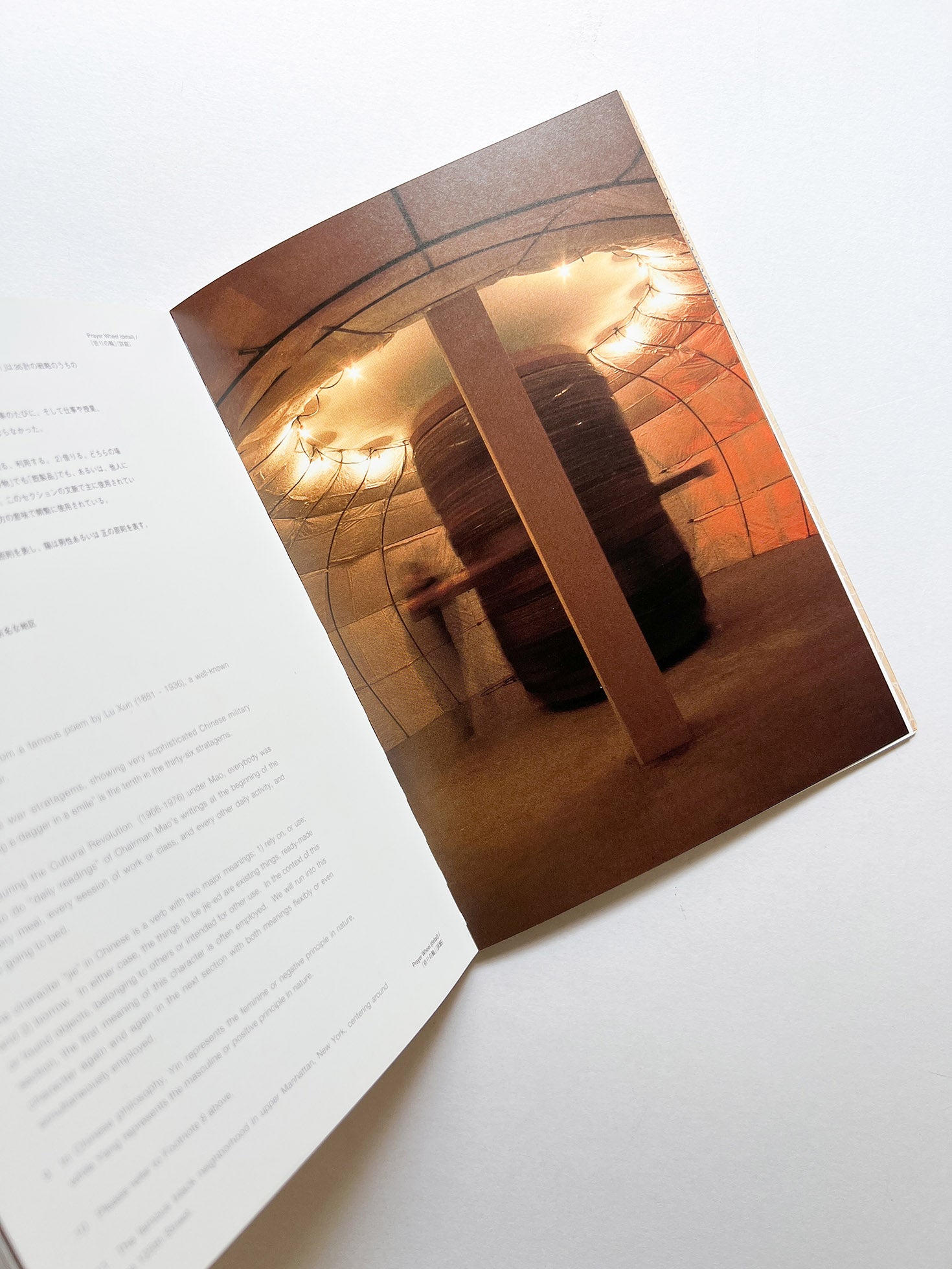 TRANSEXPERIENCES / CHEN ZHEN