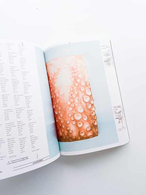 Collapsed Mythologies A Geofinancial Atlas / Eline Benjaminsen, Dayna Casey [SECOND EDITION]