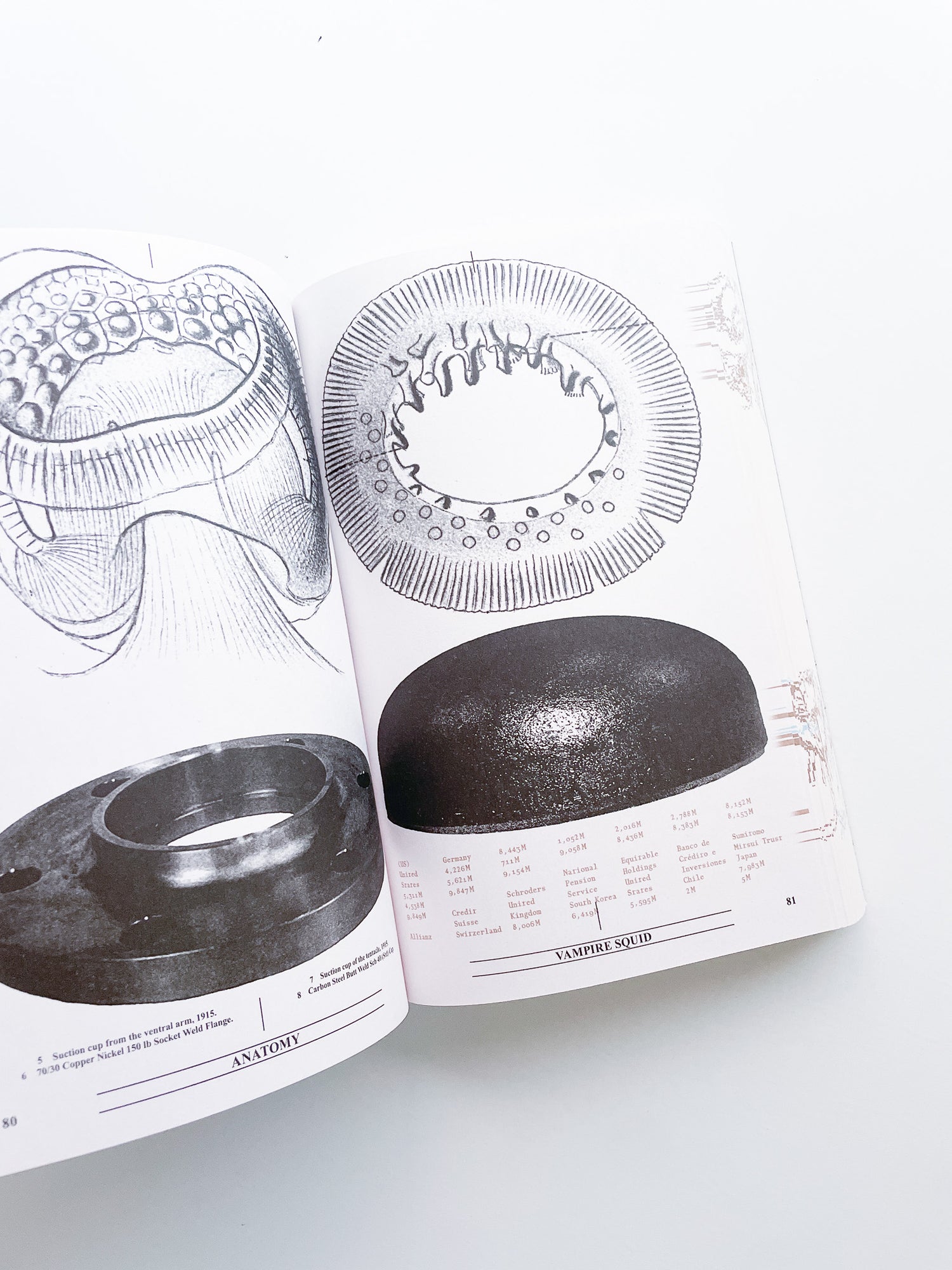Collapsed Mythologies A Geofinancial Atlas / Eline Benjaminsen, Dayna Casey [SECOND EDITION]