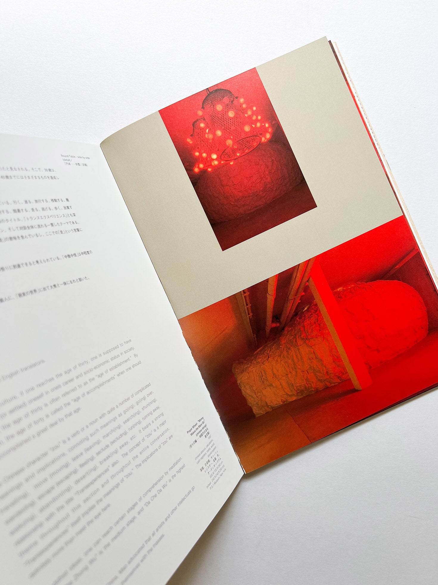 TRANSEXPERIENCES / CHEN ZHEN