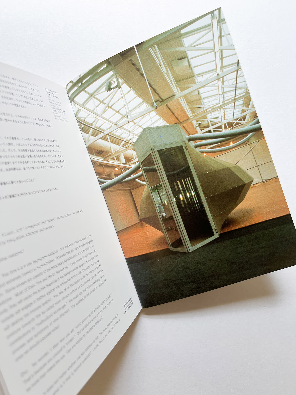 TRANSEXPERIENCES / CHEN ZHEN