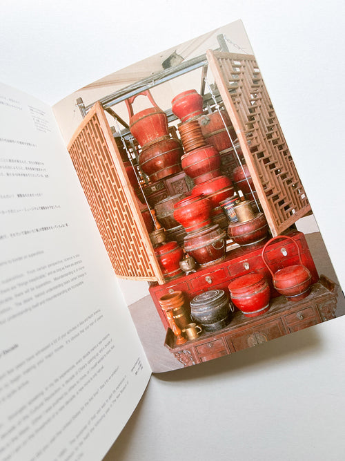 TRANSEXPERIENCES / CHEN ZHEN