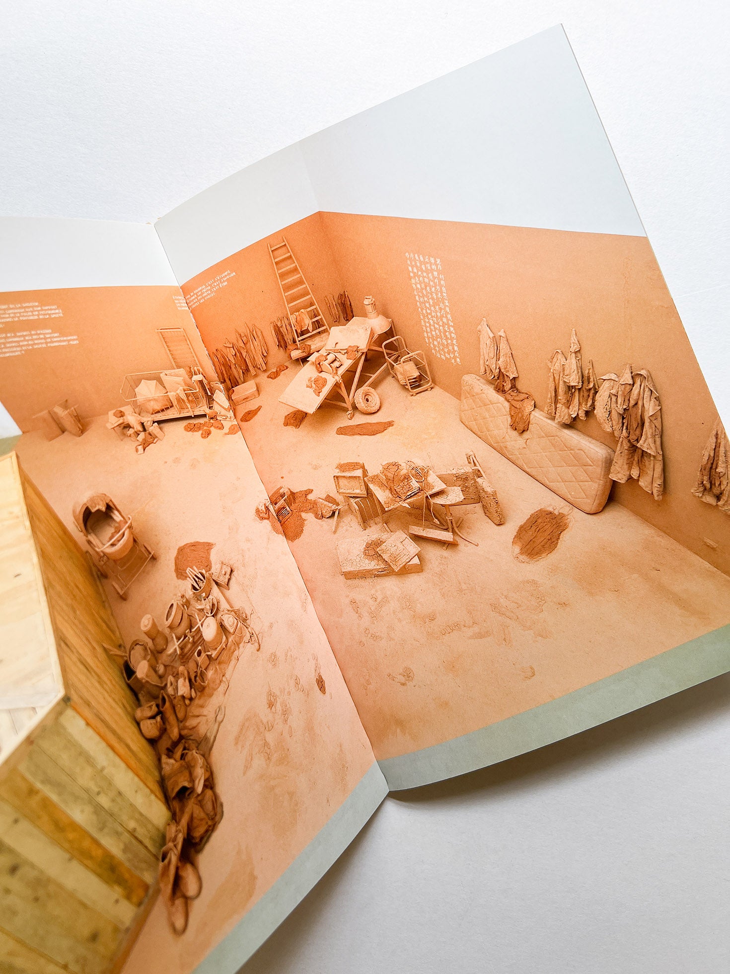 TRANSEXPERIENCES / CHEN ZHEN