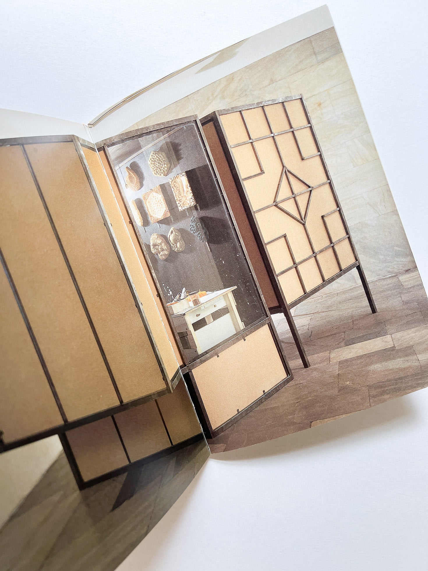 TRANSEXPERIENCES / CHEN ZHEN