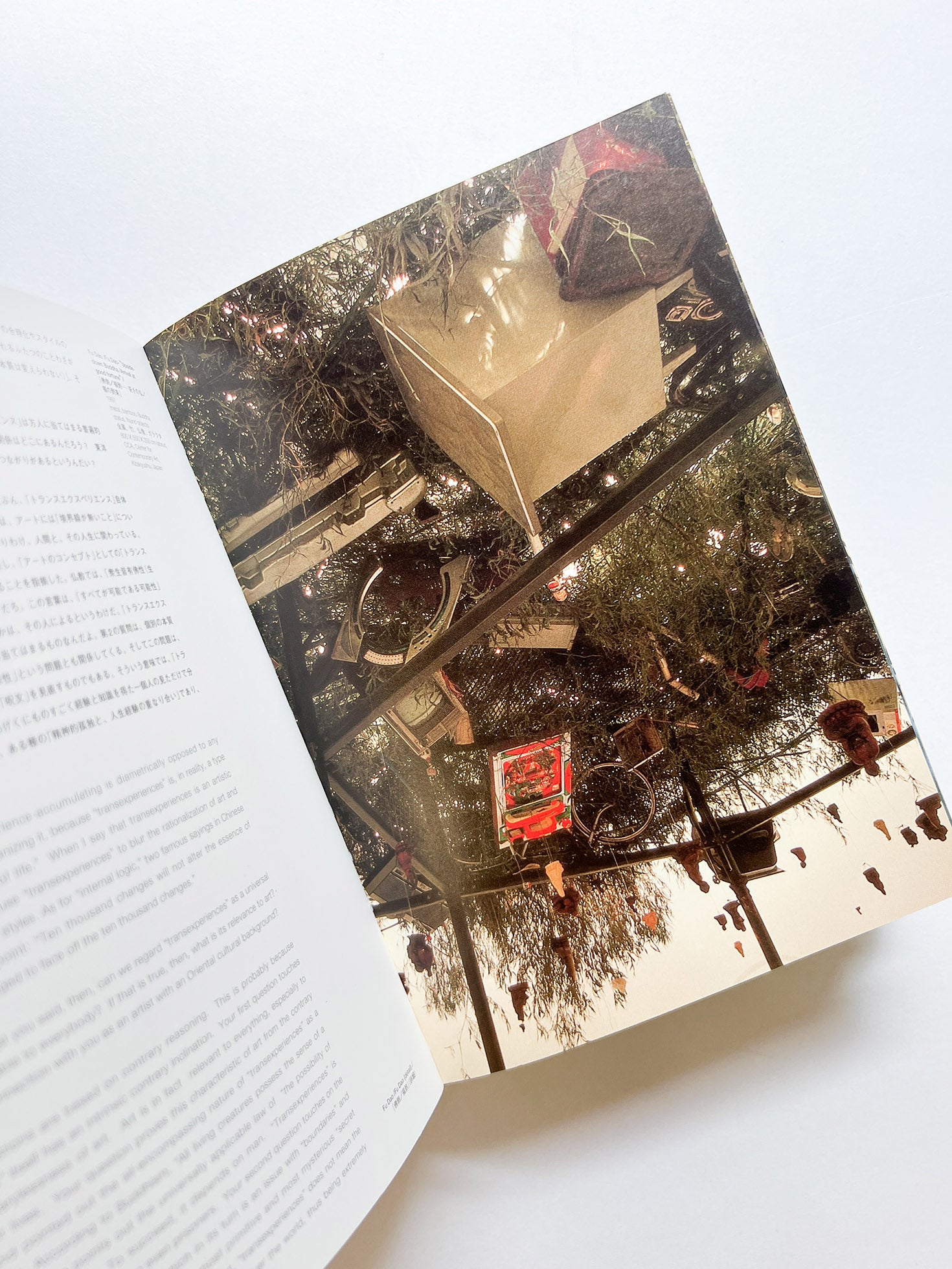 TRANSEXPERIENCES / CHEN ZHEN