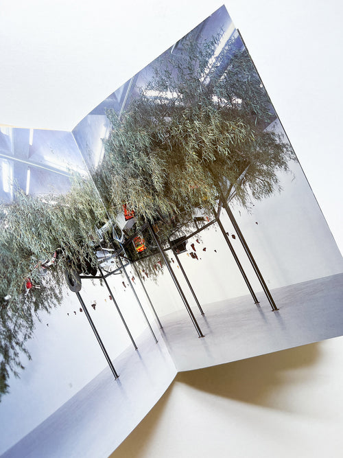 TRANSEXPERIENCES / CHEN ZHEN