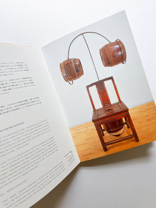 TRANSEXPERIENCES / CHEN ZHEN