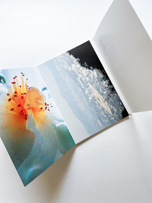 A Super-subjective Pillow Case Next To A Mini Poster Organ / Pipilotti Rist