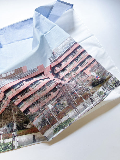 A Super-subjective Pillow Case Next To A Mini Poster Organ / Pipilotti Rist