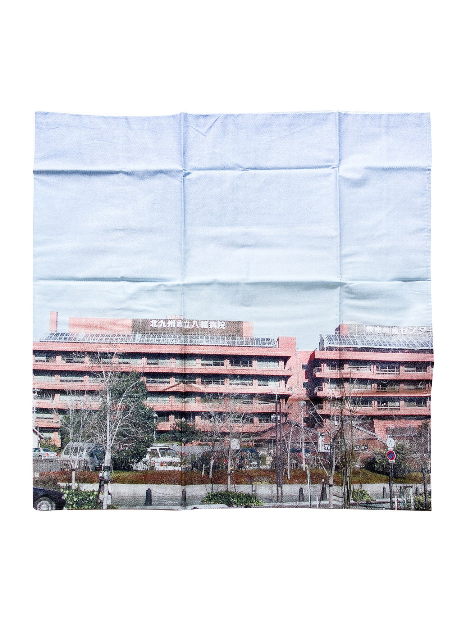 A Super-subjective Pillow Case Next To A Mini Poster Organ / Pipilotti Rist