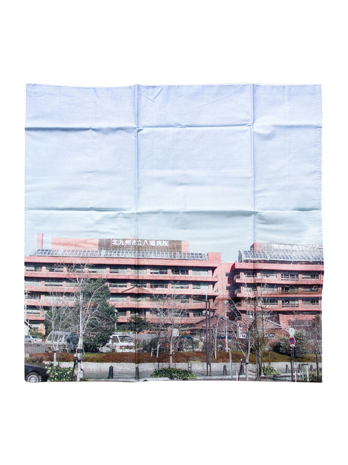 A Super-subjective Pillow Case Next To A Mini Poster Organ / Pipilotti Rist