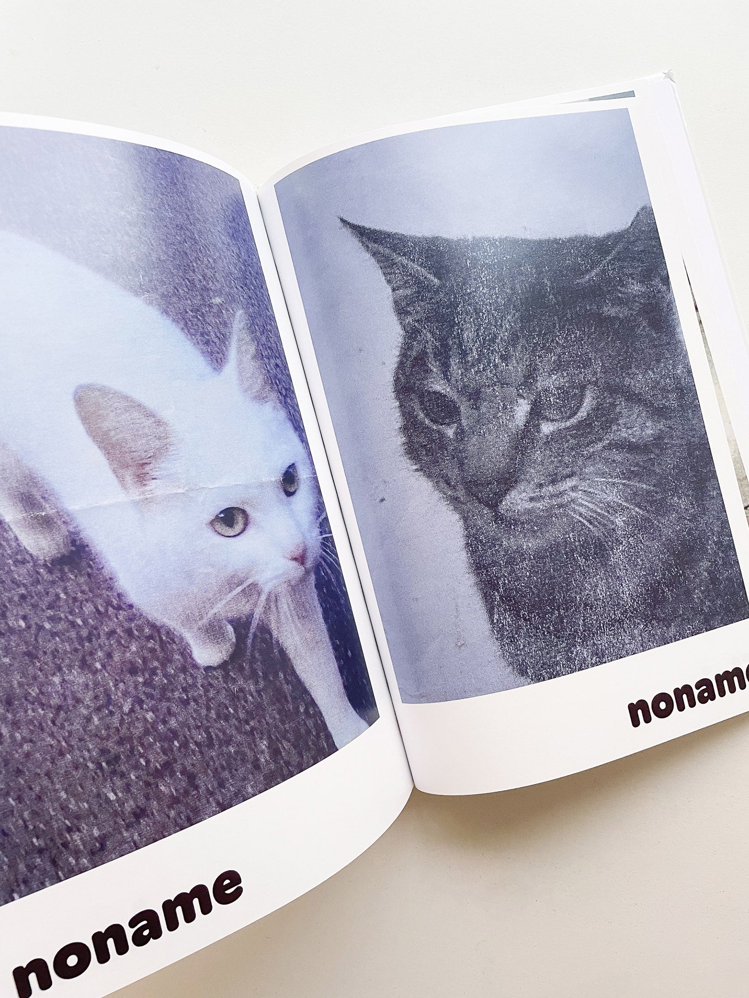 Paul / Alain Rappaport