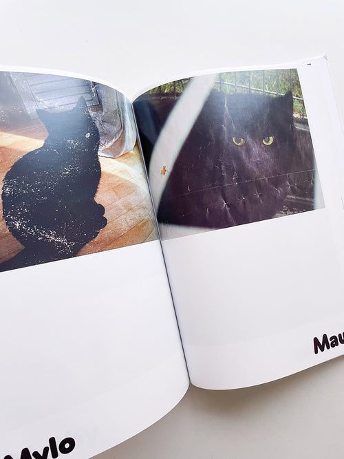 Paul / Alain Rappaport