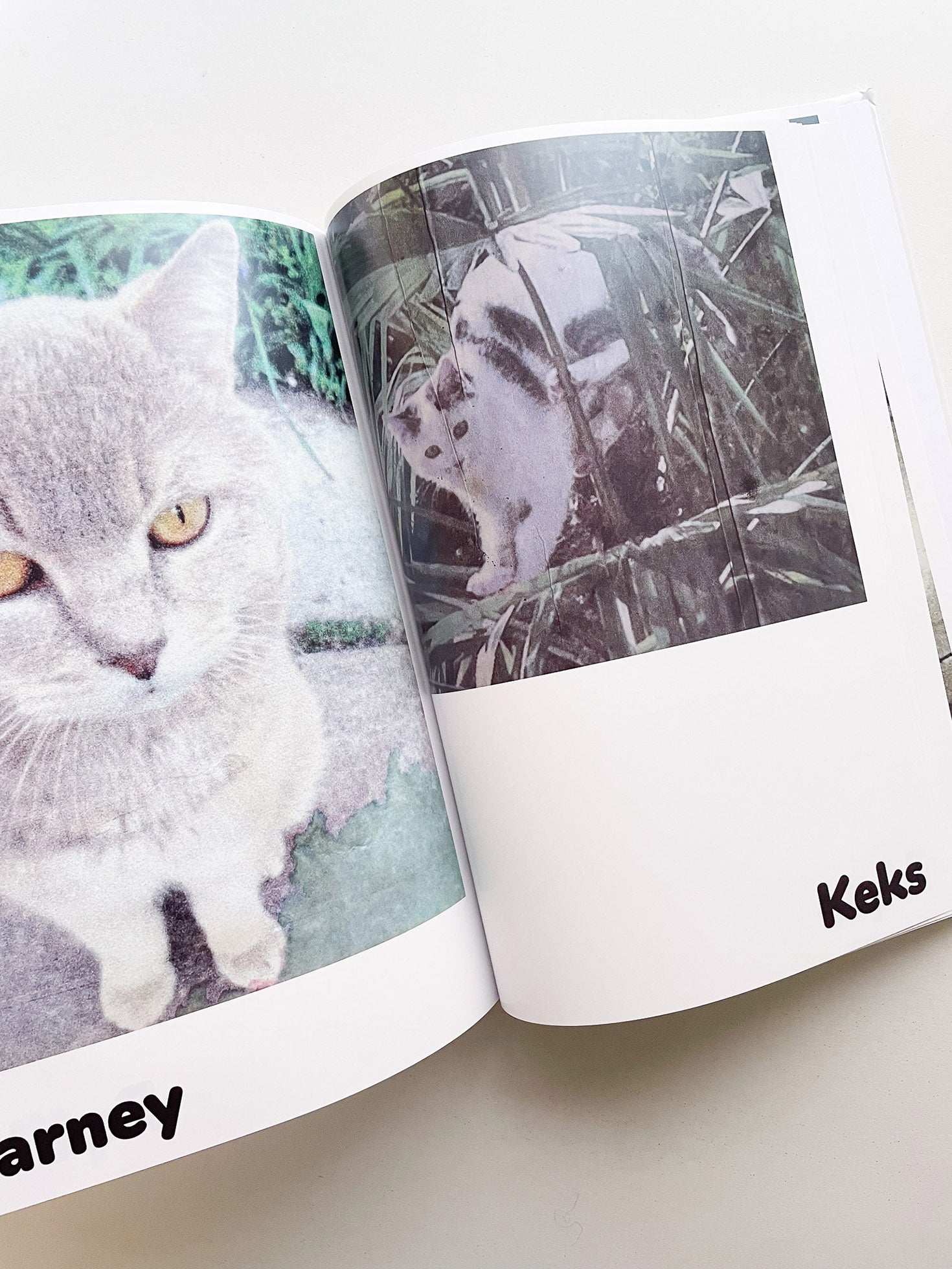 Paul / Alain Rappaport