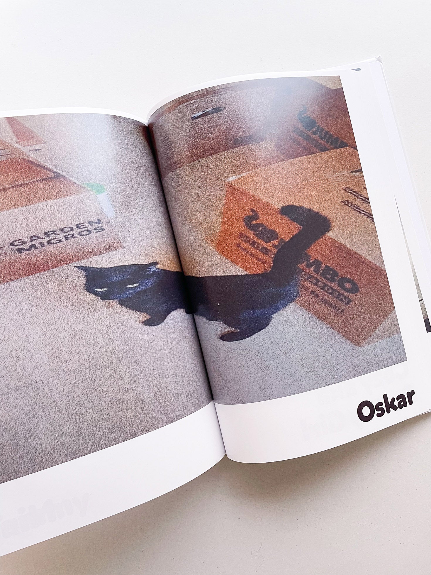 Paul / Alain Rappaport