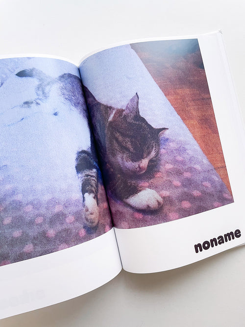 Paul / Alain Rappaport