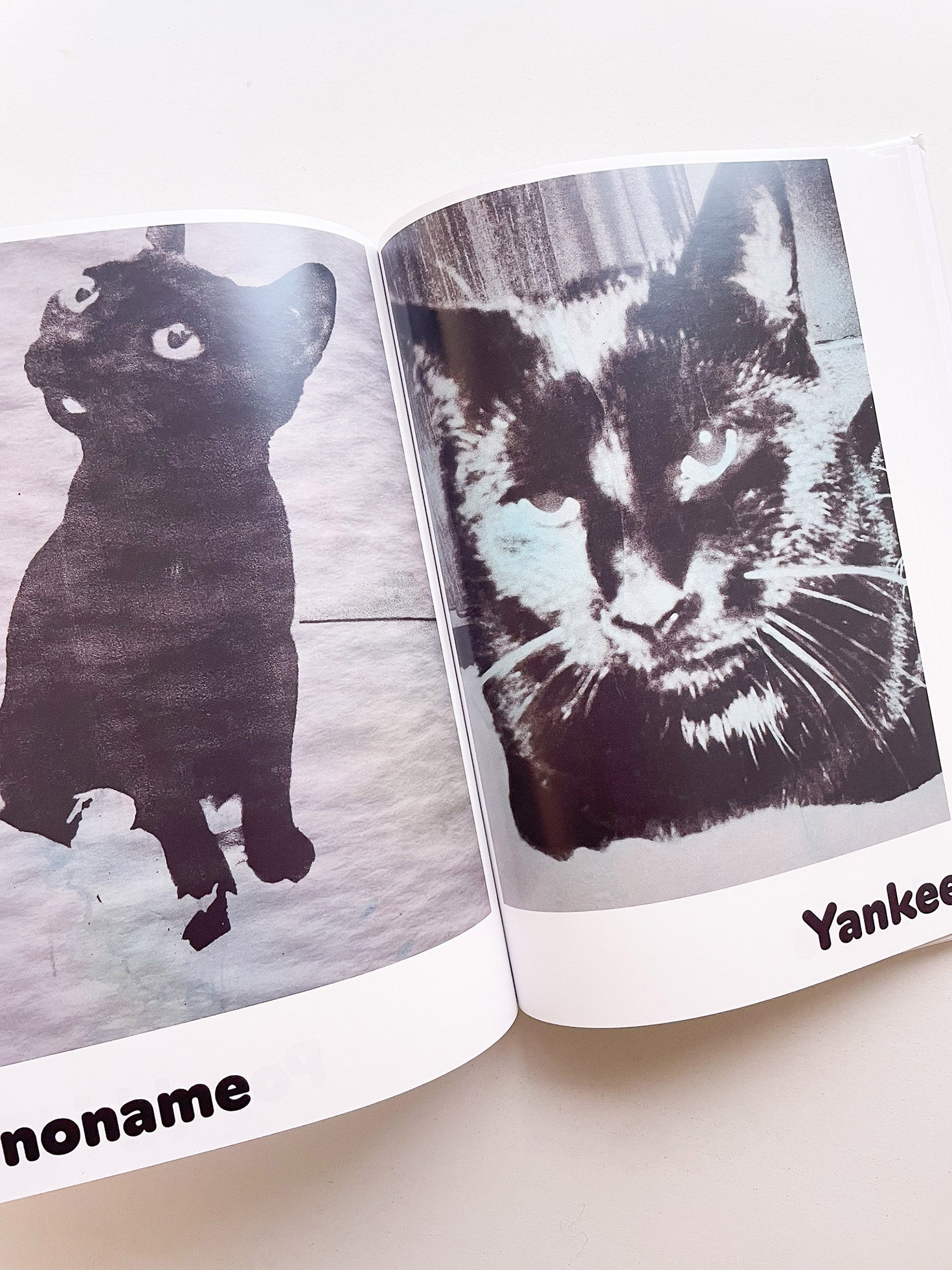 Paul / Alain Rappaport