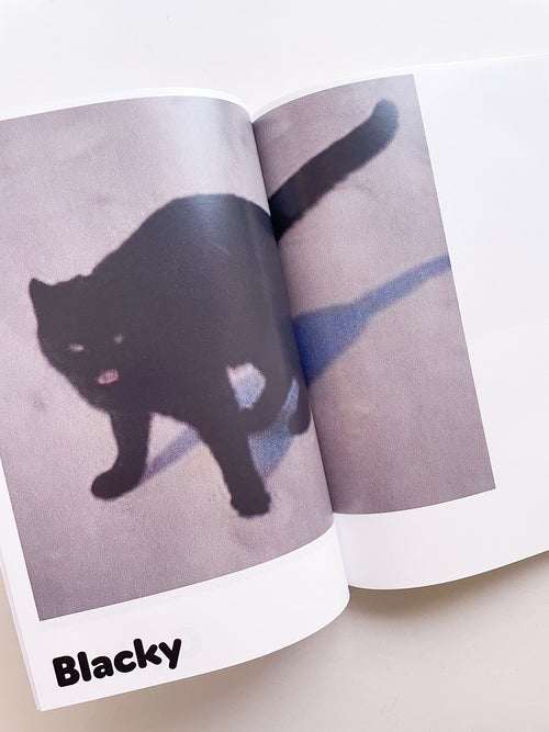 Paul / Alain Rappaport