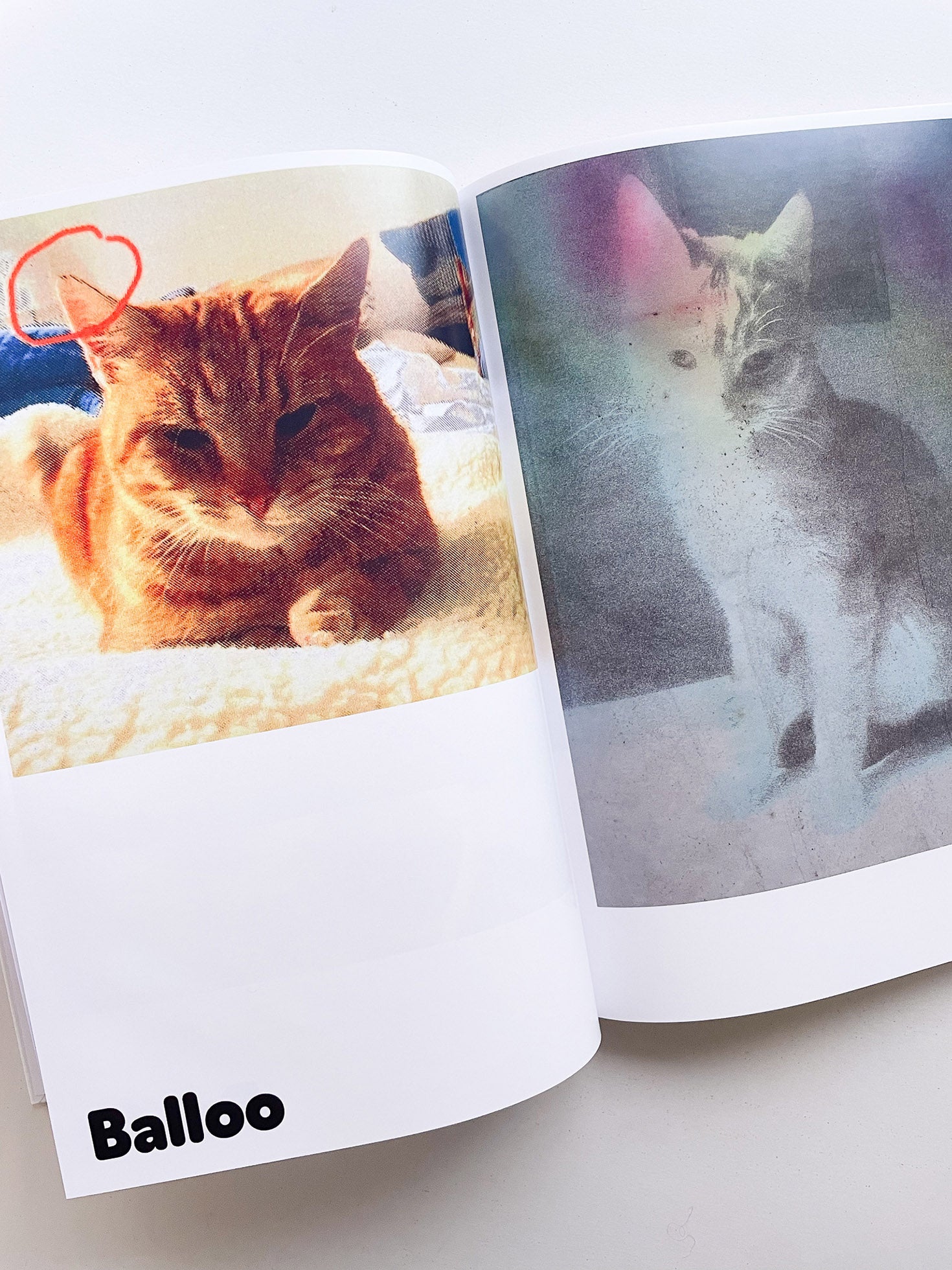 Paul / Alain Rappaport