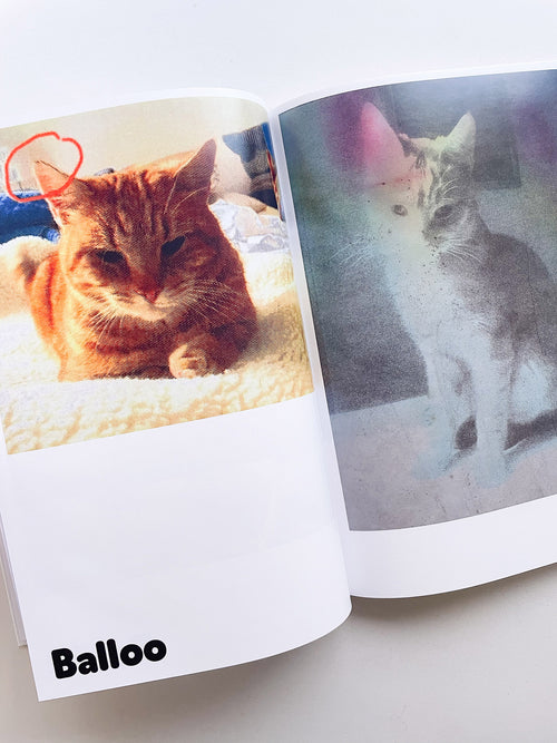 Paul / Alain Rappaport